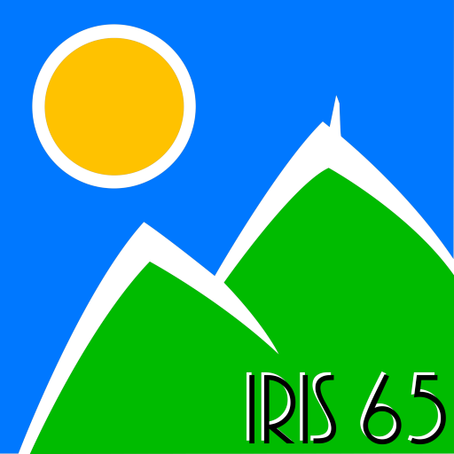 iris65 Insertion Sociale et Professionnelle